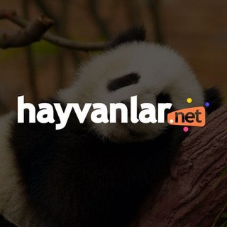 HayvanlarNet, telegram group