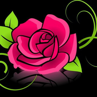أرقام بنات واتس مصر 2022, telegram channel
