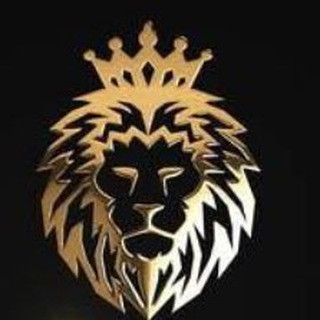SINAIS FINDY, telegram channel
