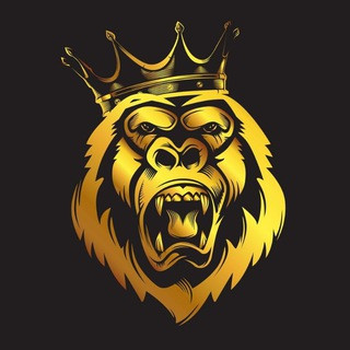 Crypto Trading Bot, telegram channel