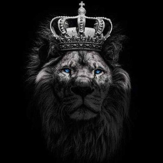 KING PREDICTION, telegram channel