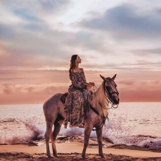 M O D E L S, telegram channel