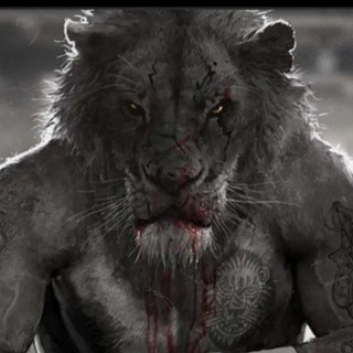 TIGER PRONO - Paris Sportifs, telegram channel