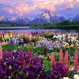 God's Creation, telegram channel