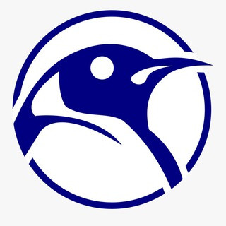 СОРОКА | Новости | Сегодня, telegram channel