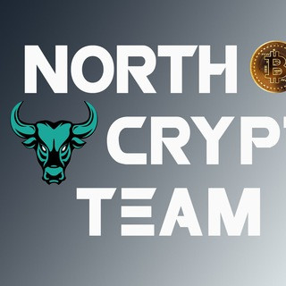 North Crypto Team, telegram channel
