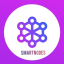 SmartNodes Validator