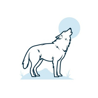 Wolf Ofertas - Promoções, telegram channel