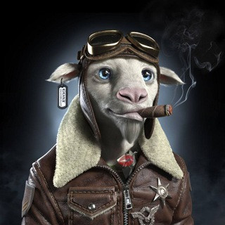 War Goat Signals, telegram channel