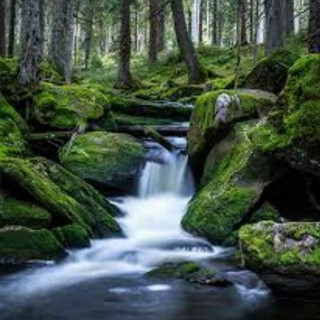 Quelle der Gesundheit, telegram channel