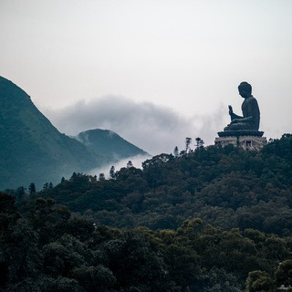 大仙的备忘录, telegram channel