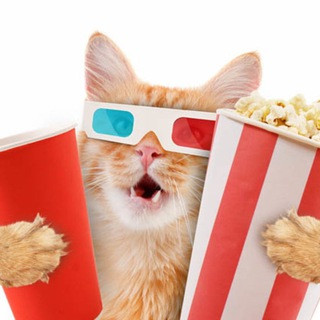 ФИЛЬМЫ 2022 НОВИНКИ, telegram channel