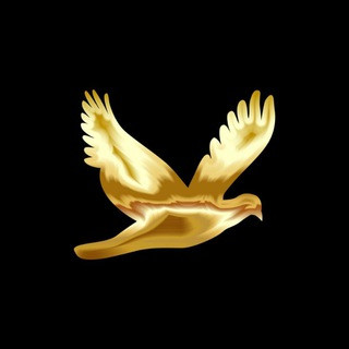 Marigold Media Marketing, telegram channel