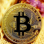 IQ OPTIONS BINARY AND TRADING PLATFORM