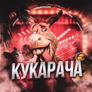 КУКАРАЧА ПРИКОЛЫ ЮМОР СМЕШНЫЕ ВИДЕО, telegram channel