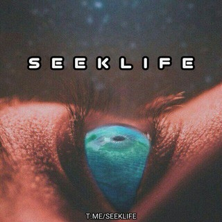 Seek Life, telegram channel