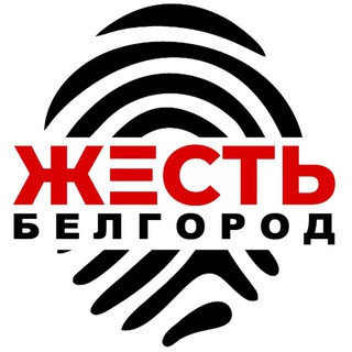 Жесть Белгород, telegram channel