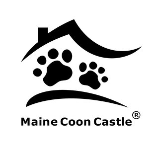Maine Coon Castle, telegram channel