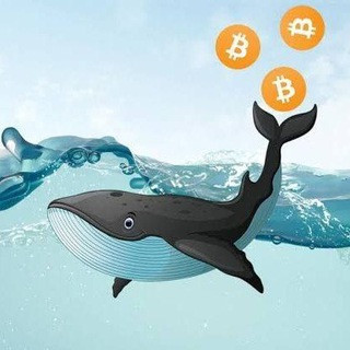 MrWhale Crypto, telegram channel