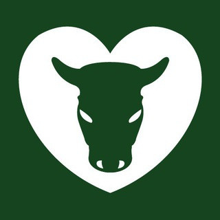 Turin Toret Bot, telegram bot