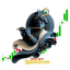 Achinta Expert Suppor (Aug 8)2022