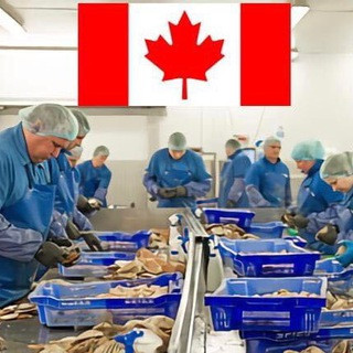 Jobs In Canada, telegram channel