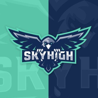 Sky High Trading, telegram channel