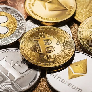 Binance crypto champions, telegram channel