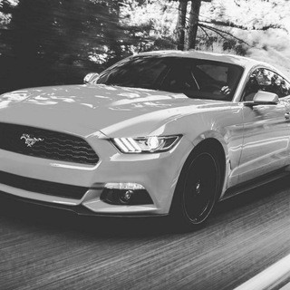 Whatsapp status ️, telegram channel