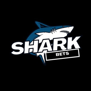 Shark bets, telegram channel