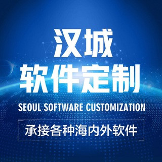 汉城海外软件定制群, telegram group