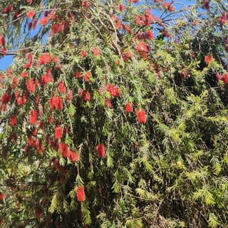 روائع الكلمات, telegram channel