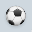Fixed Matches