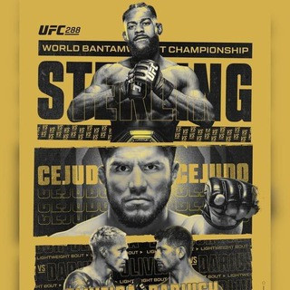 UFC 287, telegram channel