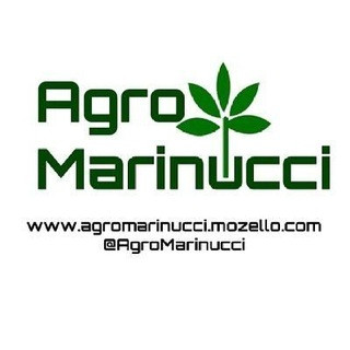 Canal AgroMarinucci, telegram channel