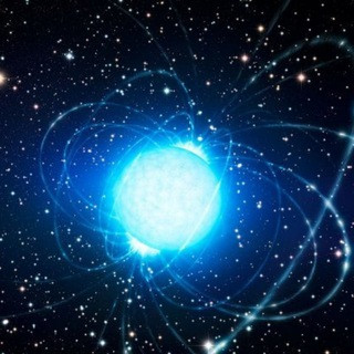 Zav News, telegram channel