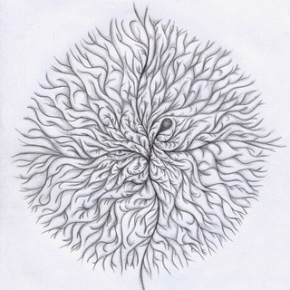 Mycelium Extraordinaire, telegram channel