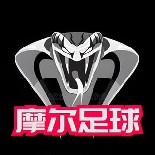 独家足球蛇货 足球内幕料协议球 球料 ️足球推单, telegram channel