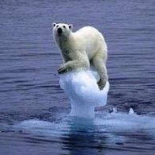 La cosa está muy mal, telegram channel