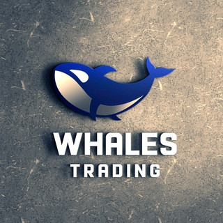 Whales Trading, telegram channel