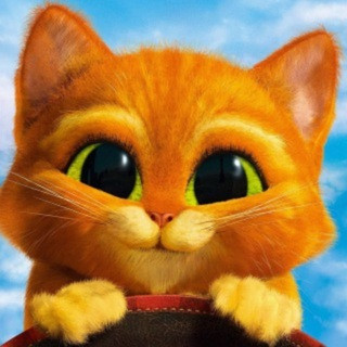 Смешные ЗверюгИ, telegram channel