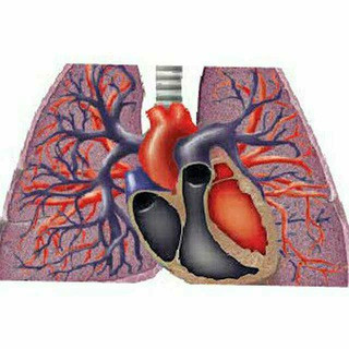 pulmonary courses and books, telegram channel