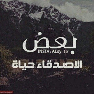 عبارات عن الصداقة, telegram channel