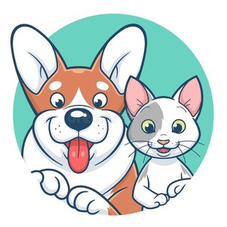 ДОМАШНИЕ ПИТОМЦЫ - ЖИВОТНЫЕ | Альметьевск | ФОРУМ | видео, telegram channel
