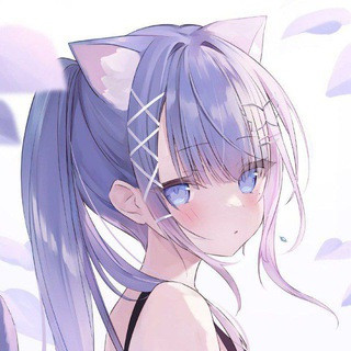 Naruto 频道推荐, telegram channel