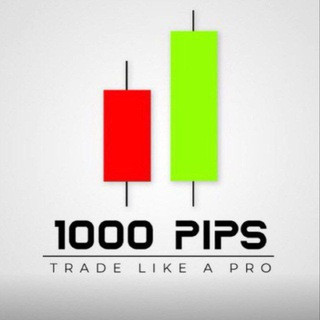 1000PIPS BULLDER, telegram channel