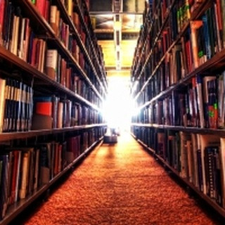Der Kolumnist, telegram channel