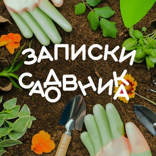 Записки садовника |Дача|Сад|Огород, telegram channel