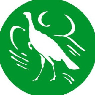The American Spectator, telegram channel
