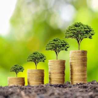 Cashout Investissement, telegram channel
